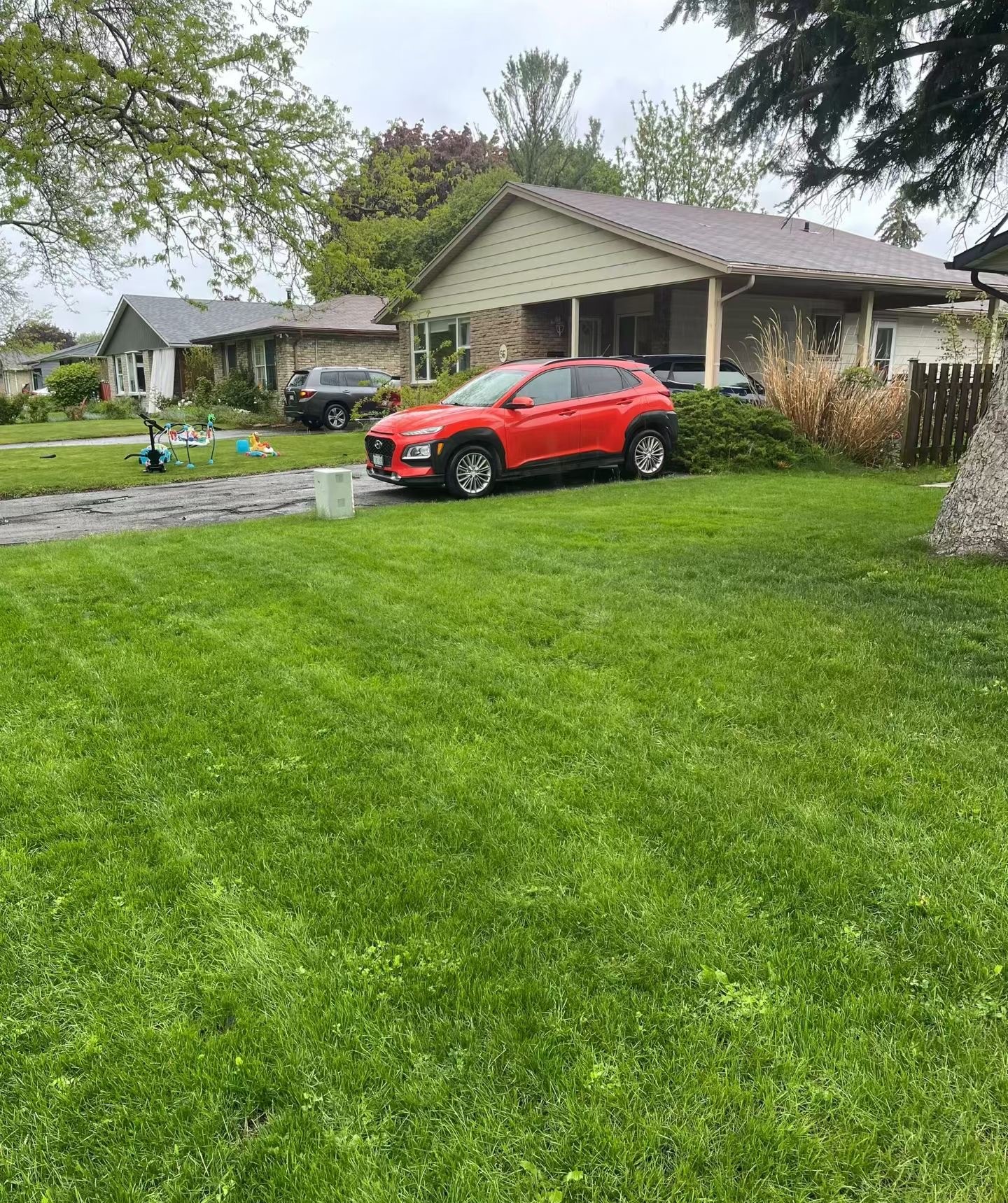 Lush green front lawn at a Niagara family home, post-restoration