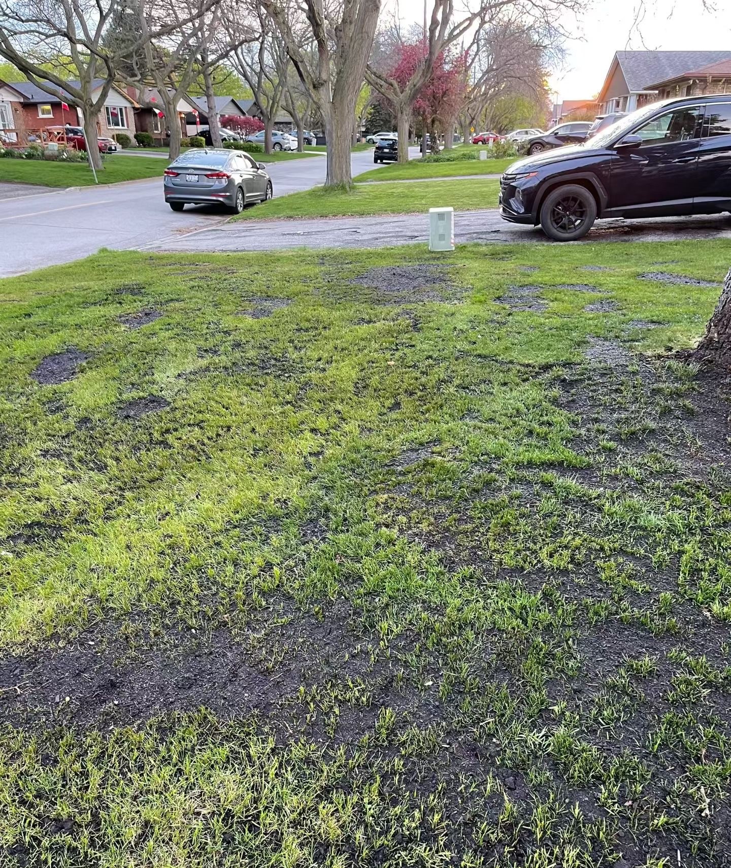 Patchy front lawn with significant bare spots and thin grass